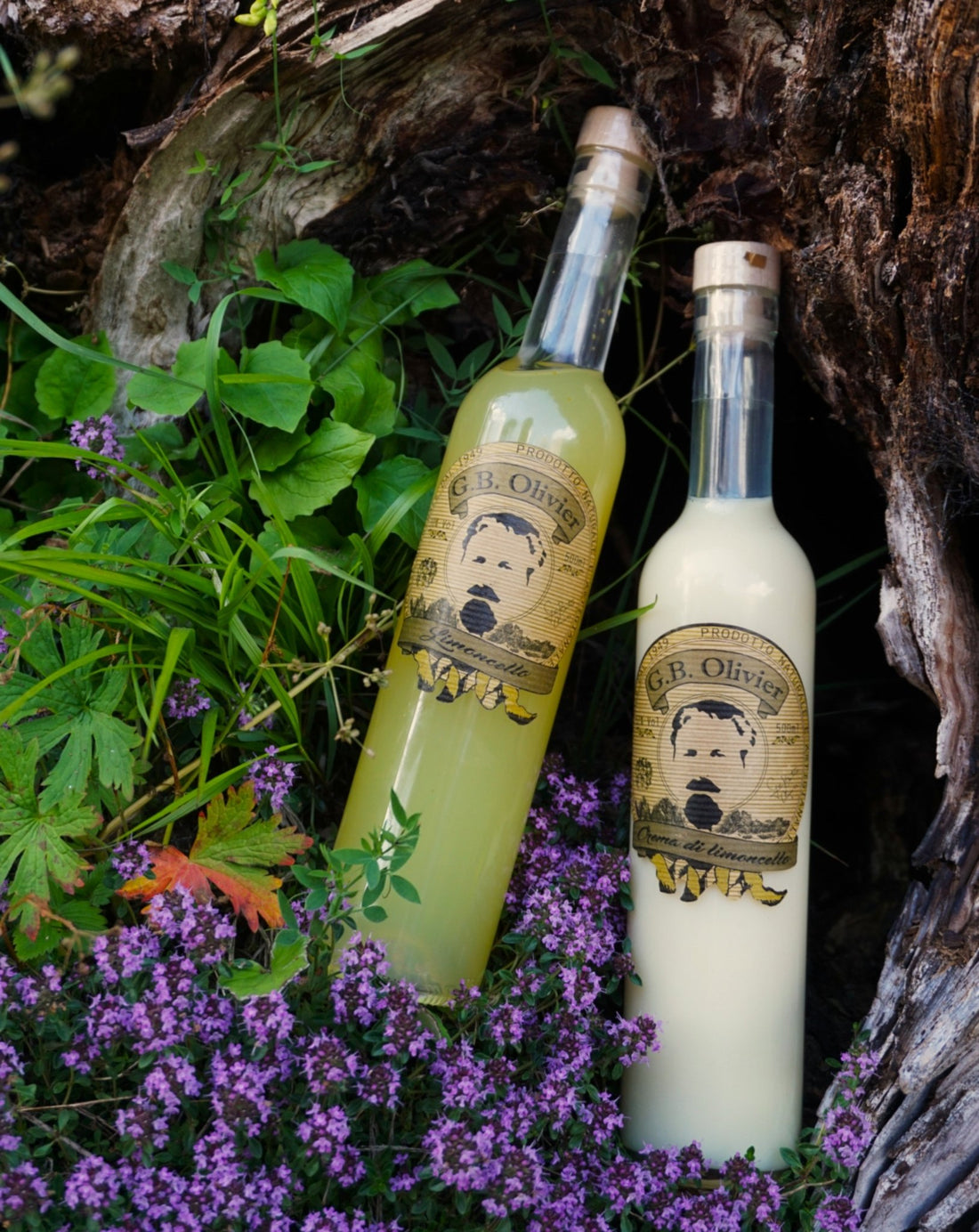 Limoncello G.B.OLIVIER: Un trago que celebra la primavera - gbolivier